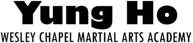 Yung Ho Wesley Chapel Martial Arts Academy