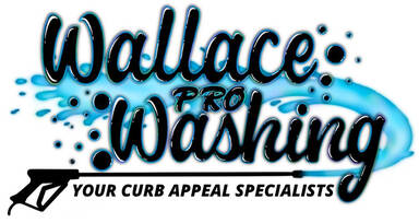 Wallace Pro Washing
